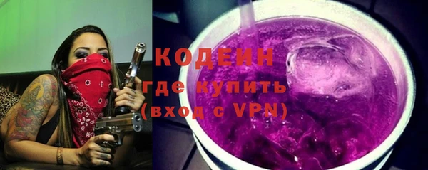 шишки Богородицк