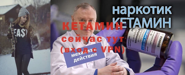 шишки Богородицк
