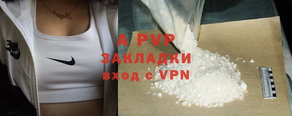 шишки Богородицк