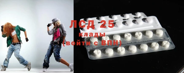 шишки Богородицк
