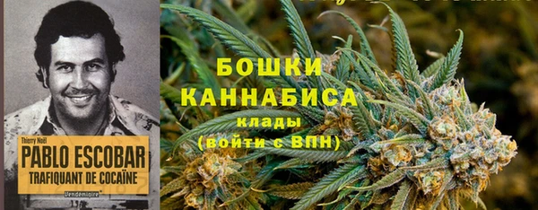 шишки Богородицк