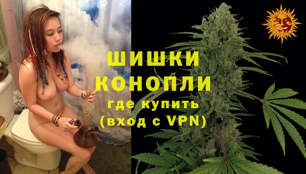 гашиш Богданович
