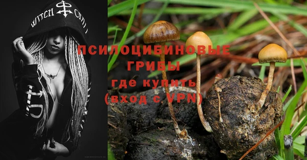 гашиш Богданович