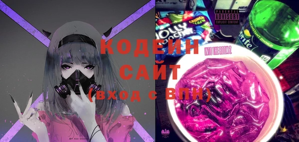 шишки Богородицк