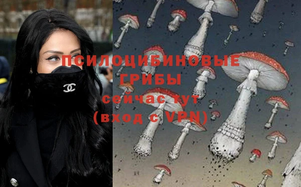 гашиш Богданович