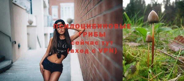 гашиш Богданович