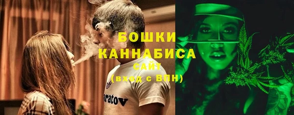 гашиш Богданович