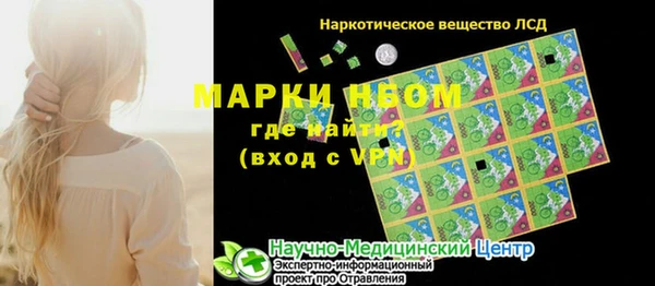 шишки Богородицк