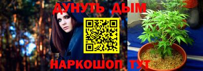 сатива Жуковский