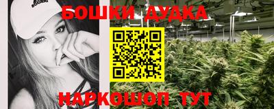 сатива Жуковский